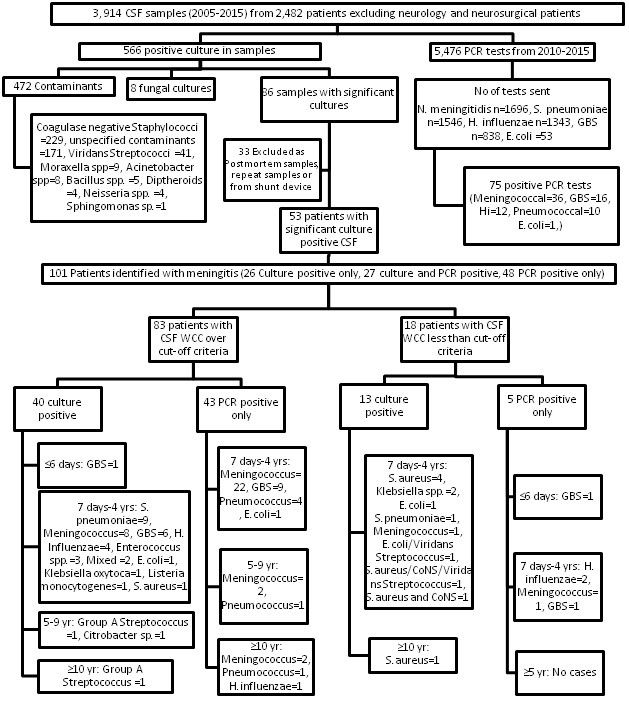 Low Yield of Positive Cerebrospinal Fluid (CSF) Culture and Bacterial ...