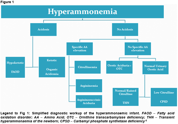 Hyperammonemia Treatment